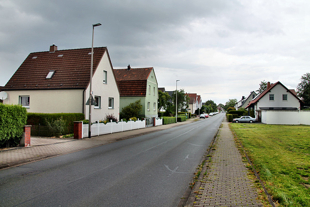 Heideweg (Hamm-Westtünnen) / 6.07.2024