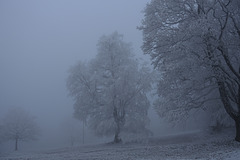 DSC03425 DSC03425