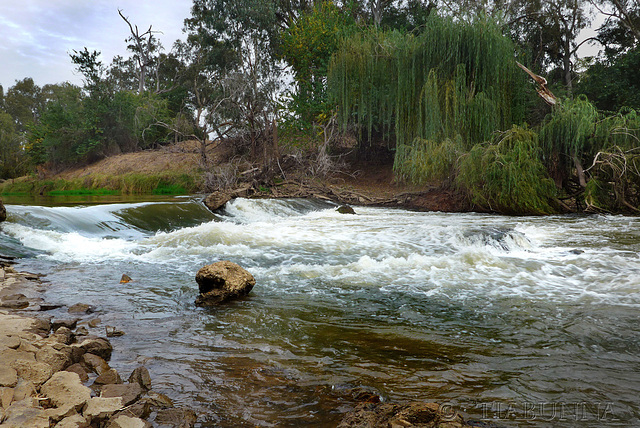 Weir on the Lachlan