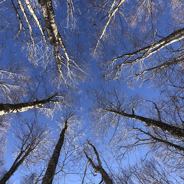 Looking up.