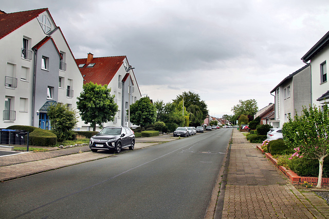 Heideweg (Hamm-Westtünnen) / 6.07.2024