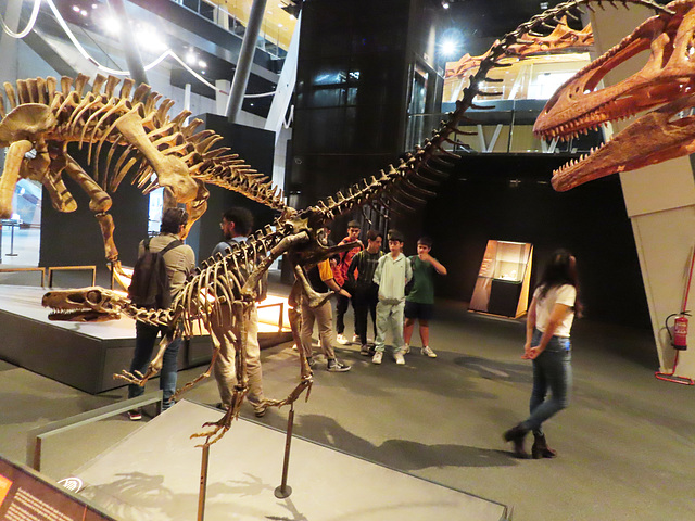 Barcelona: Museo de las Ciencias, 4