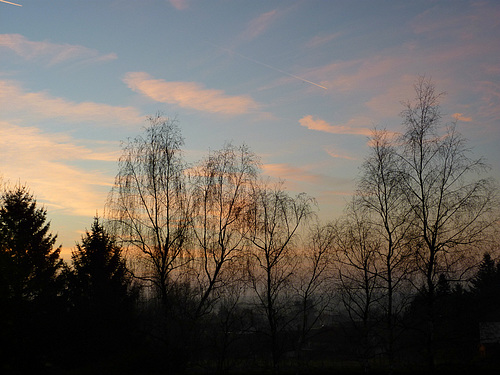 Paysage...