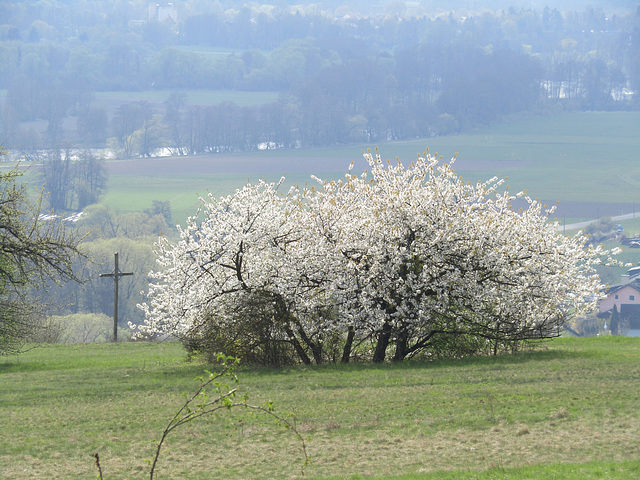 Gipfelblick