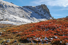 Herbstliches Valle Maira