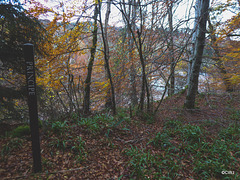 The Dunearn Burn walk - Earl of Moray's estate