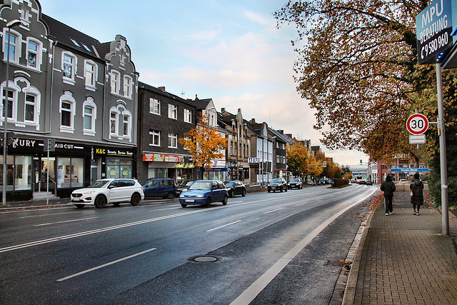 Herner Straße (Bochum-Riemke) / 11.11.2023