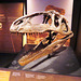 Barcelona: Museo de las Ciencias, 5