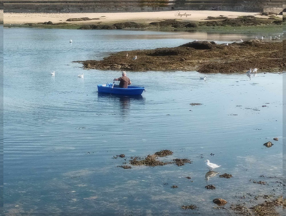 Bon Lundi mes ami(e)s !❤️ Barfleur ******