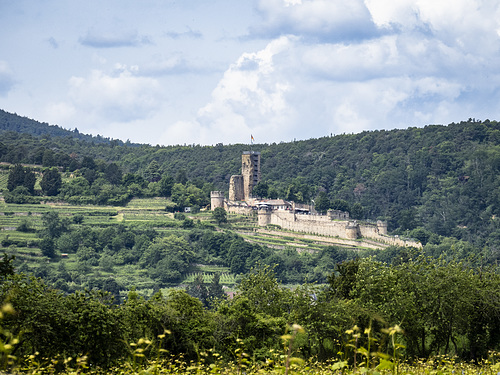 Die Wachtenburg