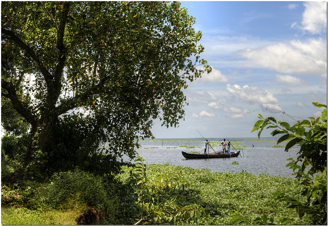 The Backwaters of Kerala