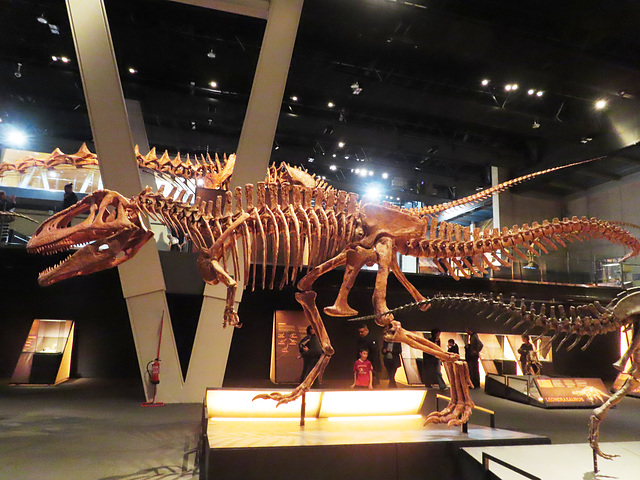 Barcelona: Museo de las Ciencias, 6