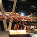 Barcelona: Museo de las Ciencias, 6