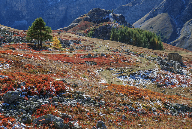 Herbstliches Valle Maira