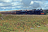 Raven LNER class J27 0-6-0 65894+Q6 0-8-0 2238(BR No. 63395 with th 11.37 Grosmont - Pickering service at Moorgates 28th September 2019.