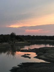 watering hole, sunset