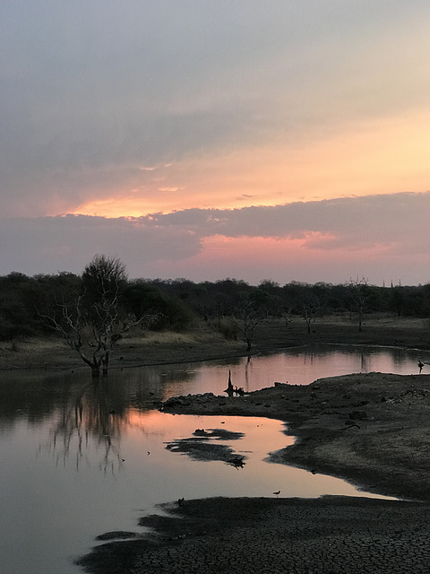 watering hole, sunset