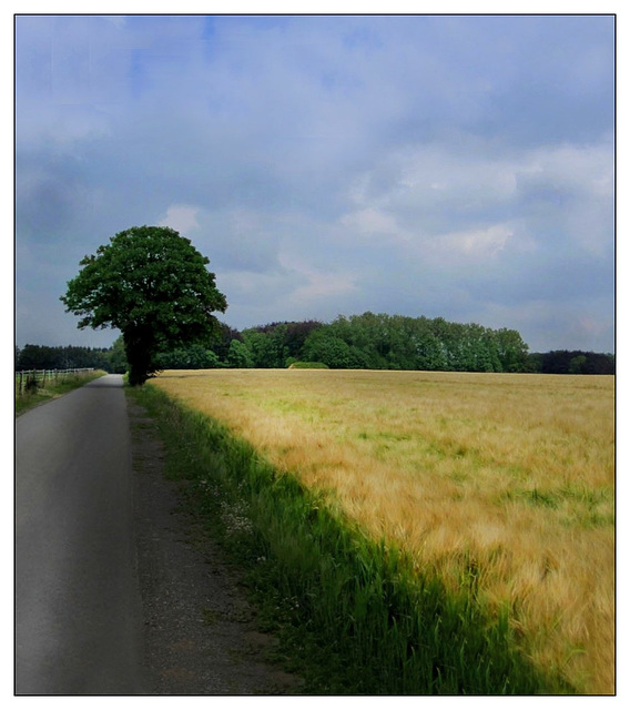 Promenade en campagne