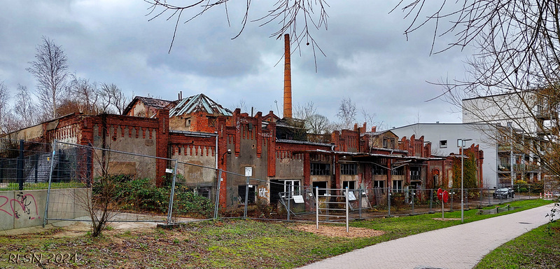 (Un)Happy Fence Friday!