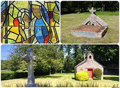 ParapeuxCollage.JPG