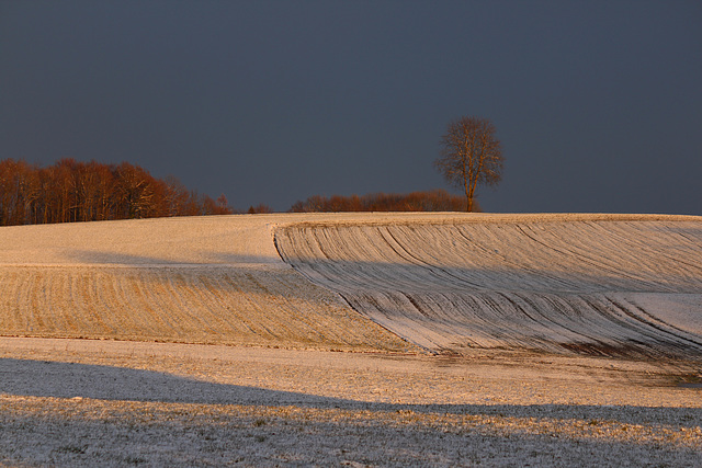 l'hiver arrive