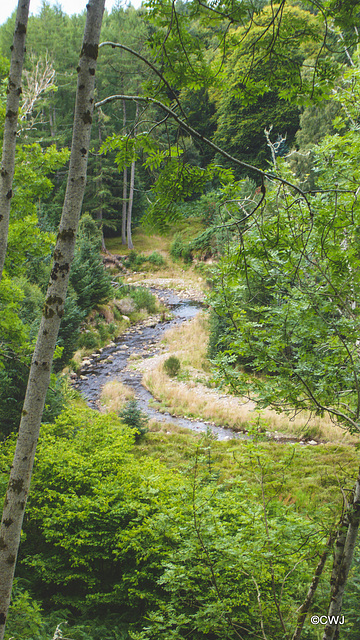 Downstream