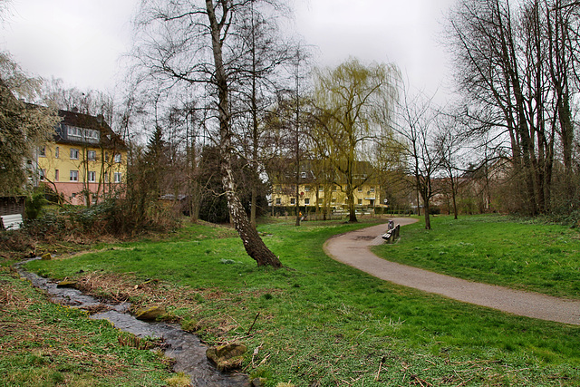 Weg am Steinbach (Witten-Annen) / 8.03.2020