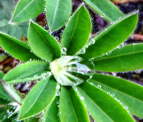 Die Kraft eines Wassertropfens. ©UdoSm
