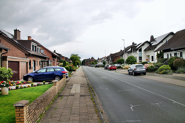 Heideweg (Hamm-Westtünnen) / 6.07.2024