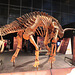 Barcelona: Museo de las Ciencias, 7