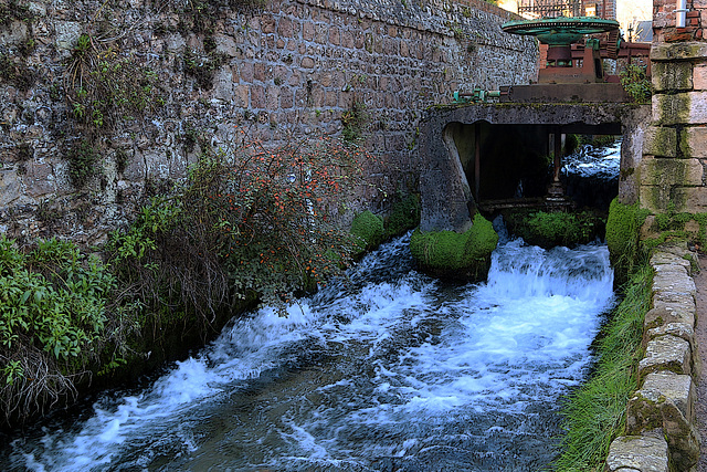 La Veules , le plus petit fleuve de France mesure 1194 mètres . Il prend sa source dans un champ de cresson .