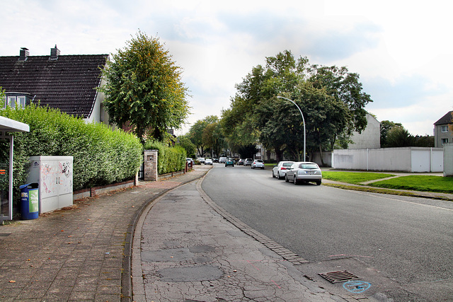 Am Lespelsbusch (Duisburg-Rumeln-Kaldenhausen) / 22.09.2017