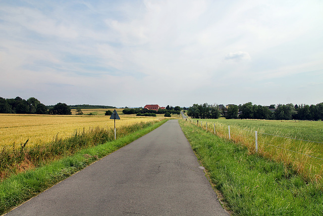 Kamphecke (Dortmund-Holthausen) / 22.06.2019