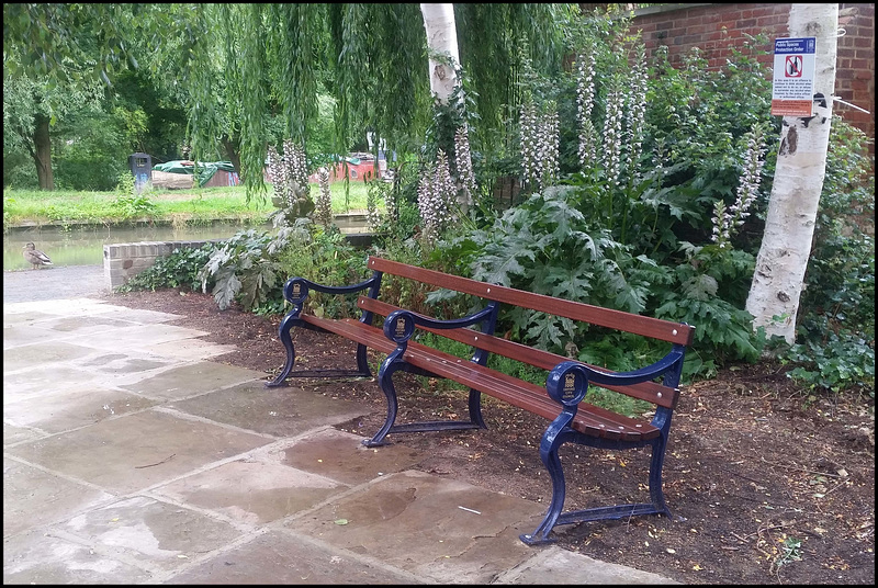 seat by the canal