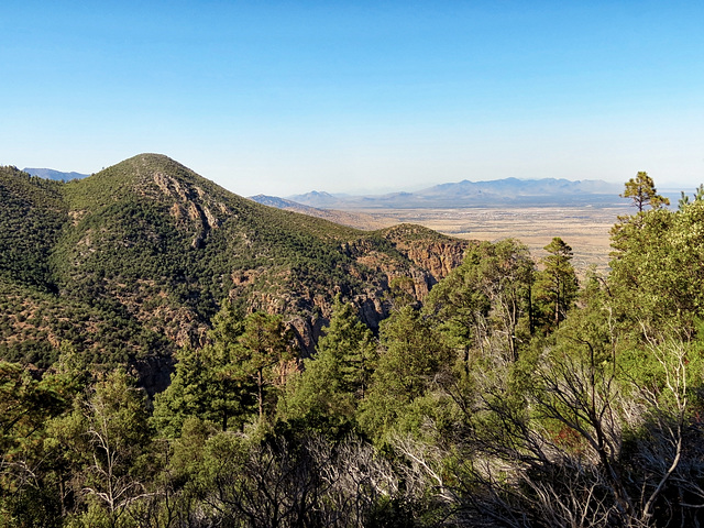 Up At Reef Townsite Campground