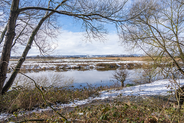 Burton Wetlands
