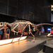 Barcelona: Museo de las Ciencias, 8