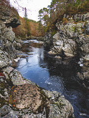 The Dunearn Burn walk - Earl of Moray's estate