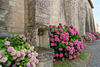 Eglise Notre-Dame-de-l'Assomption de Vouvant (3)