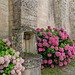 Eglise Notre-Dame-de-l'Assomption de Vouvant (3)