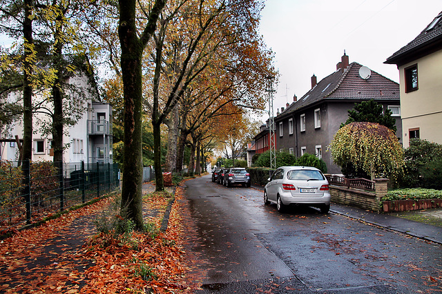 Auf der Markscheide (Bochum-Riemke) / 11.11.2023