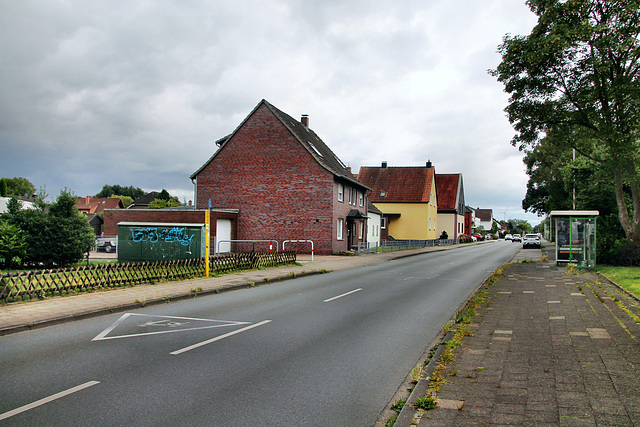 Heideweg (Hamm-Westtünnen) / 6.07.2024