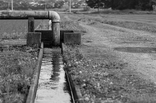 Irrigation water