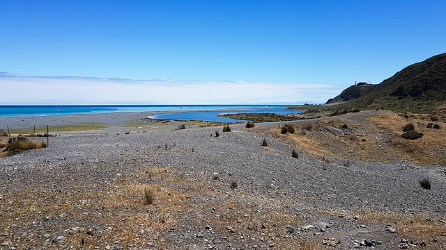 Neuseeland - Wainuiomata Coast