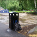 badly sited council bin