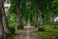 Östra Amtervik kyrkogård