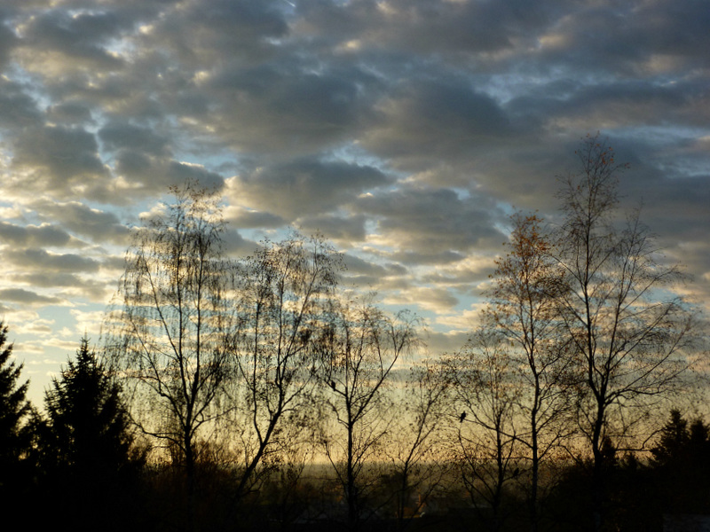 Paysage...