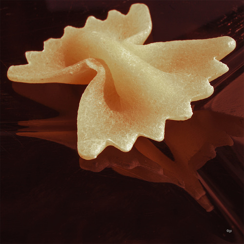 Farfalla