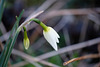 DSCF5379