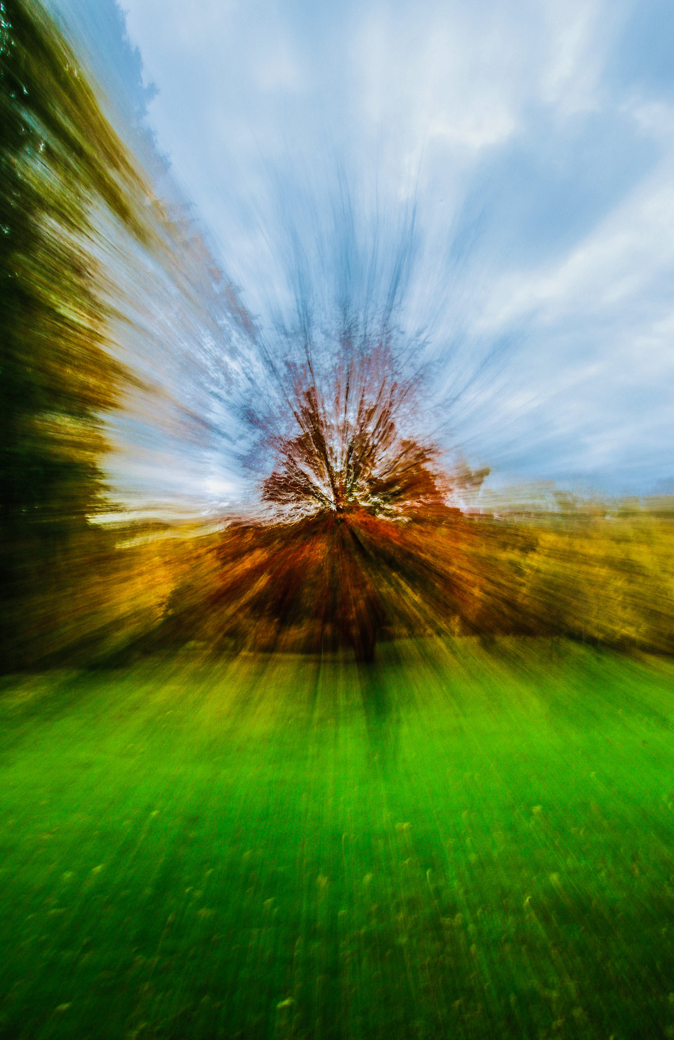 Autumn Explosion